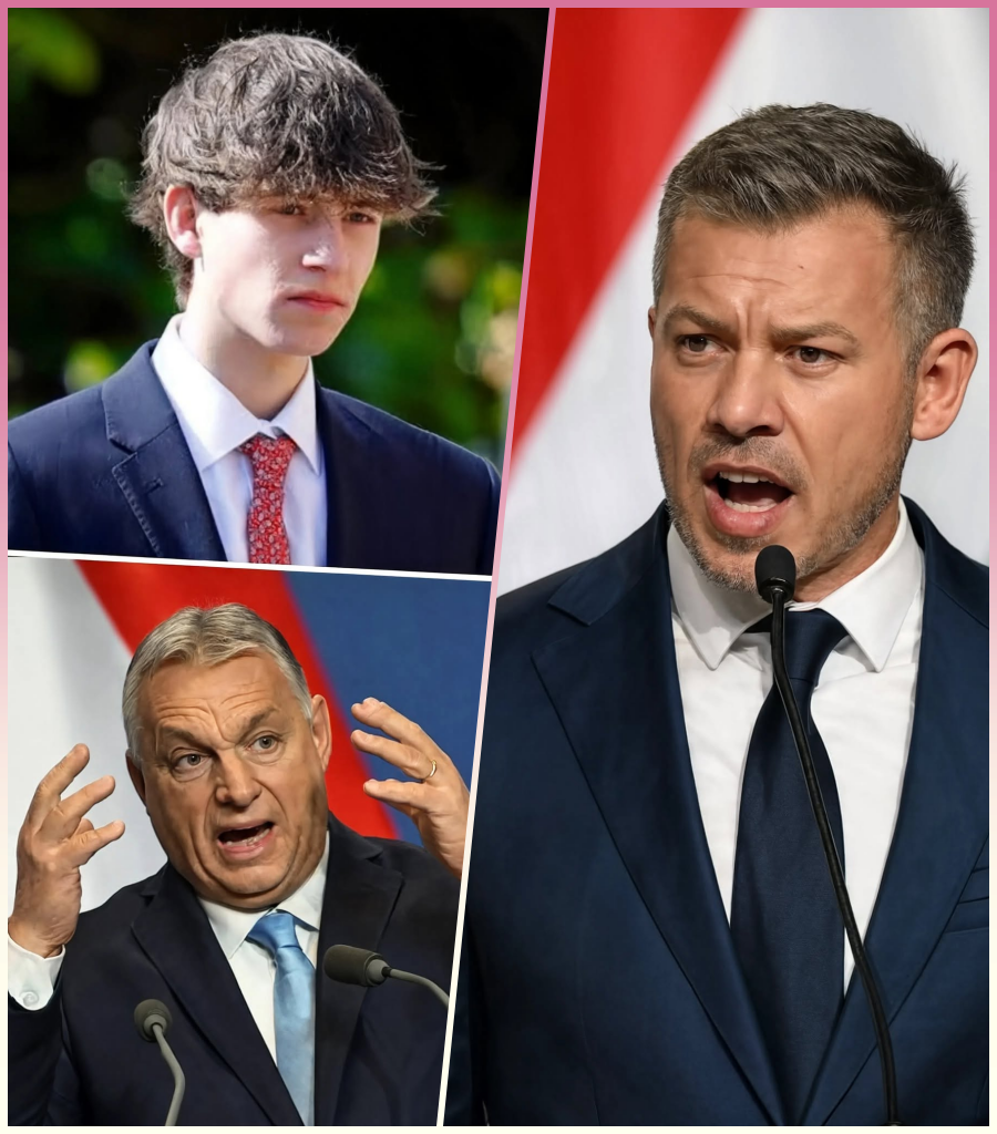 🚨 HISZTÉRIÁS PÁNIK A TEREMBEN? – MAGYAR PÉTER FIA ÉS ORBÁN VIKTOR NEVE EGY VÁRATLAN POLITIKAI TÖRTÉNET KÖZÉPPONTJÁBA KERÜLT 🇭🇺⚡.... -  Zoe